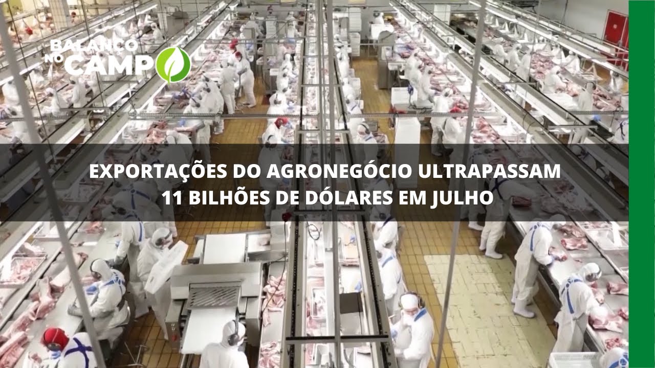 Exportações do agronegócio ultrapassam 11 bilhões de dólares em julho