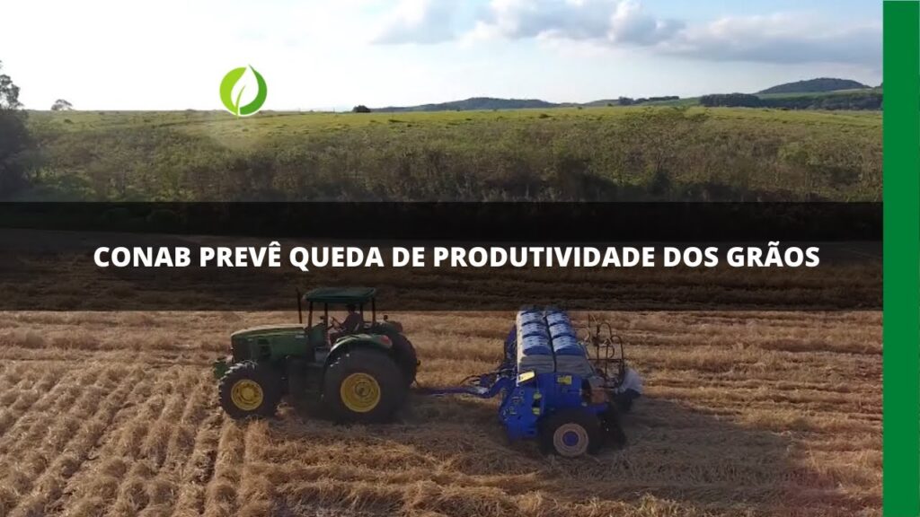 Conab prevê queda de produtividade gos grãos