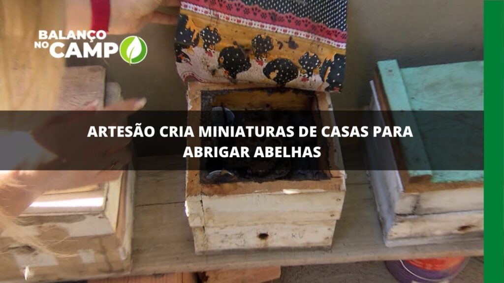 Artesão cria miniaturas de casas para abrigar abelhas