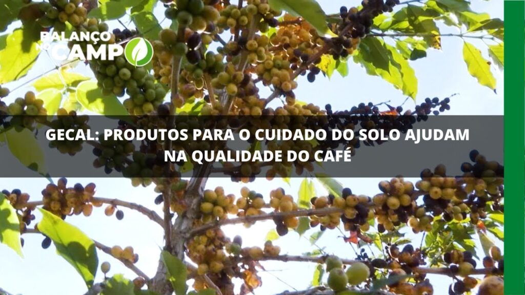 Gecal: produtos para o cuidado do solo ajudam na qualidade do café