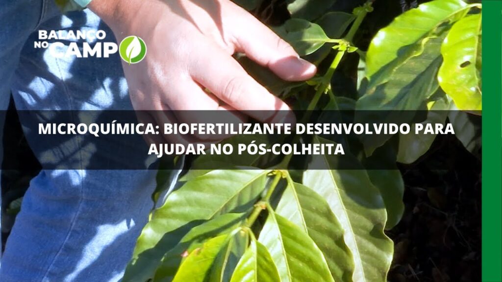 Microquímica: biofertilizante desenvolvido para ajudar no pós-colheita