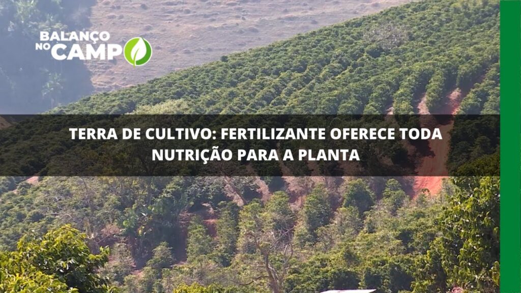 Terra de cultivo: fertilizante oferece toda nutrição para a planta