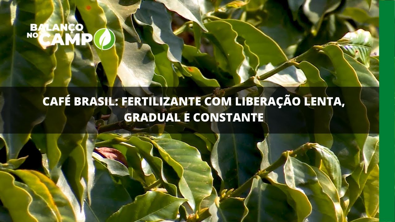 Café Brasil: fertilizante com liberação lenta, gradual e constante