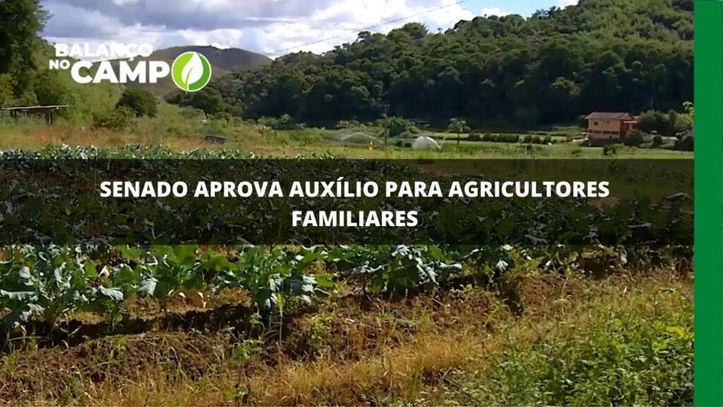 Senado aprova auxílio para agricultores familiares