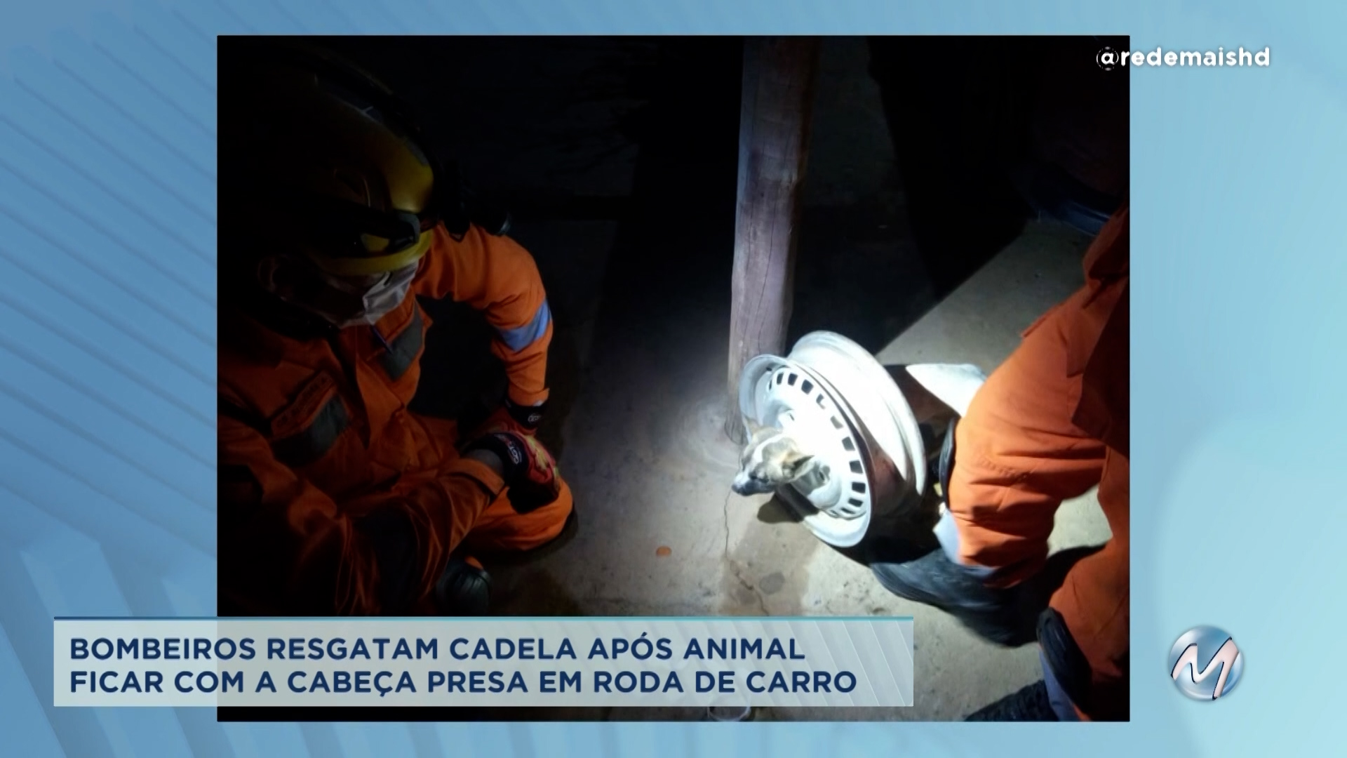 Bombeiros resgatam cadela após animal ficar com a cabeça presa em roda de carro