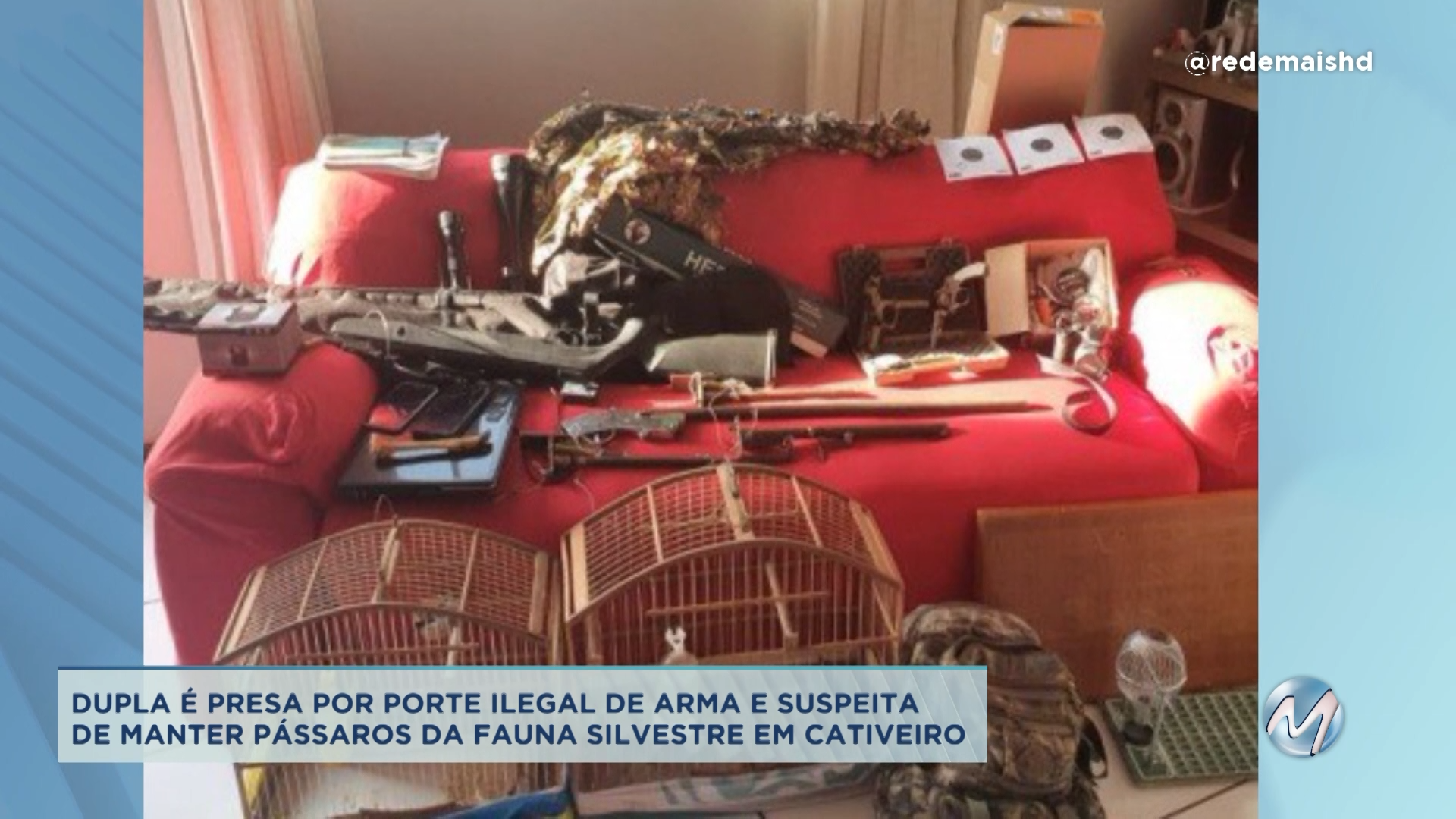 Dupla é presa por suspeita de manter pássaros da fauna silvestre em cativeiro em Montes Claros