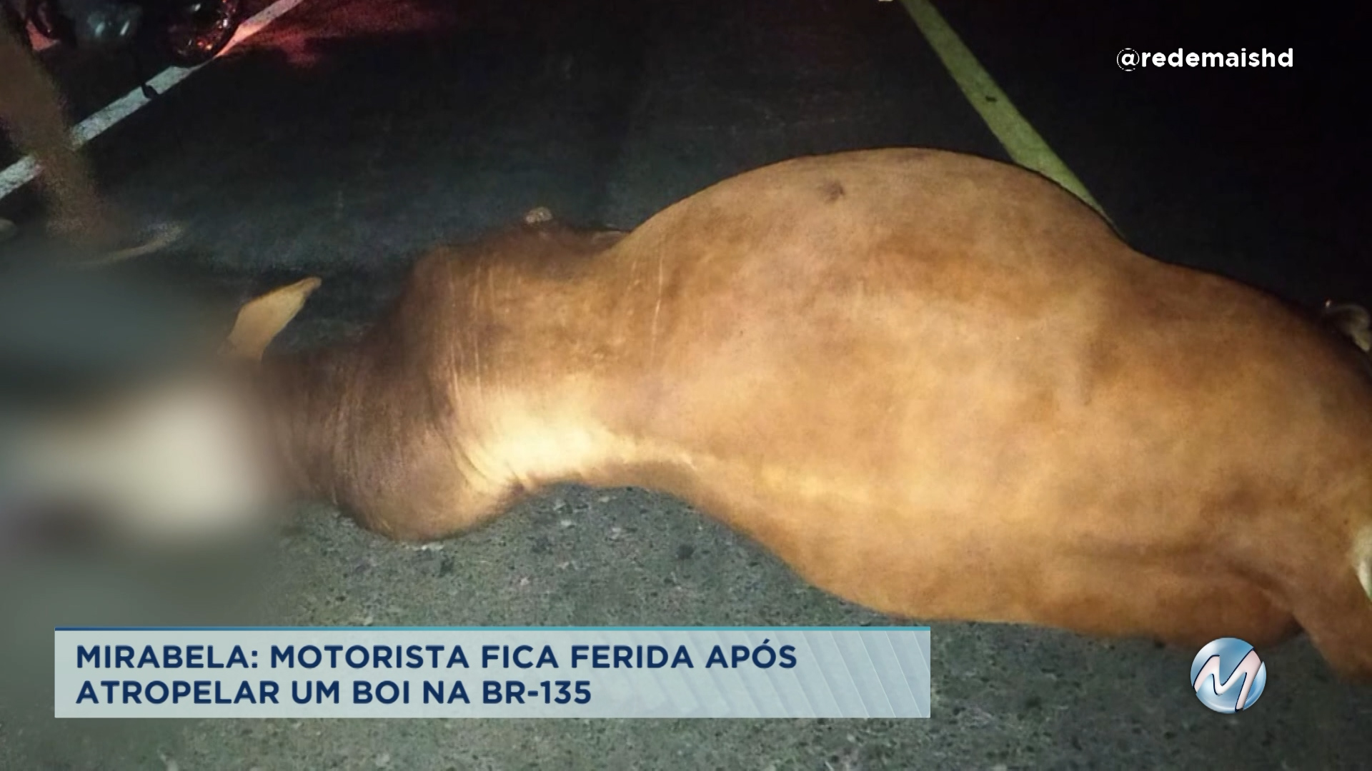 Motorista fica ferida depois de atropelar um boi em Mirabela