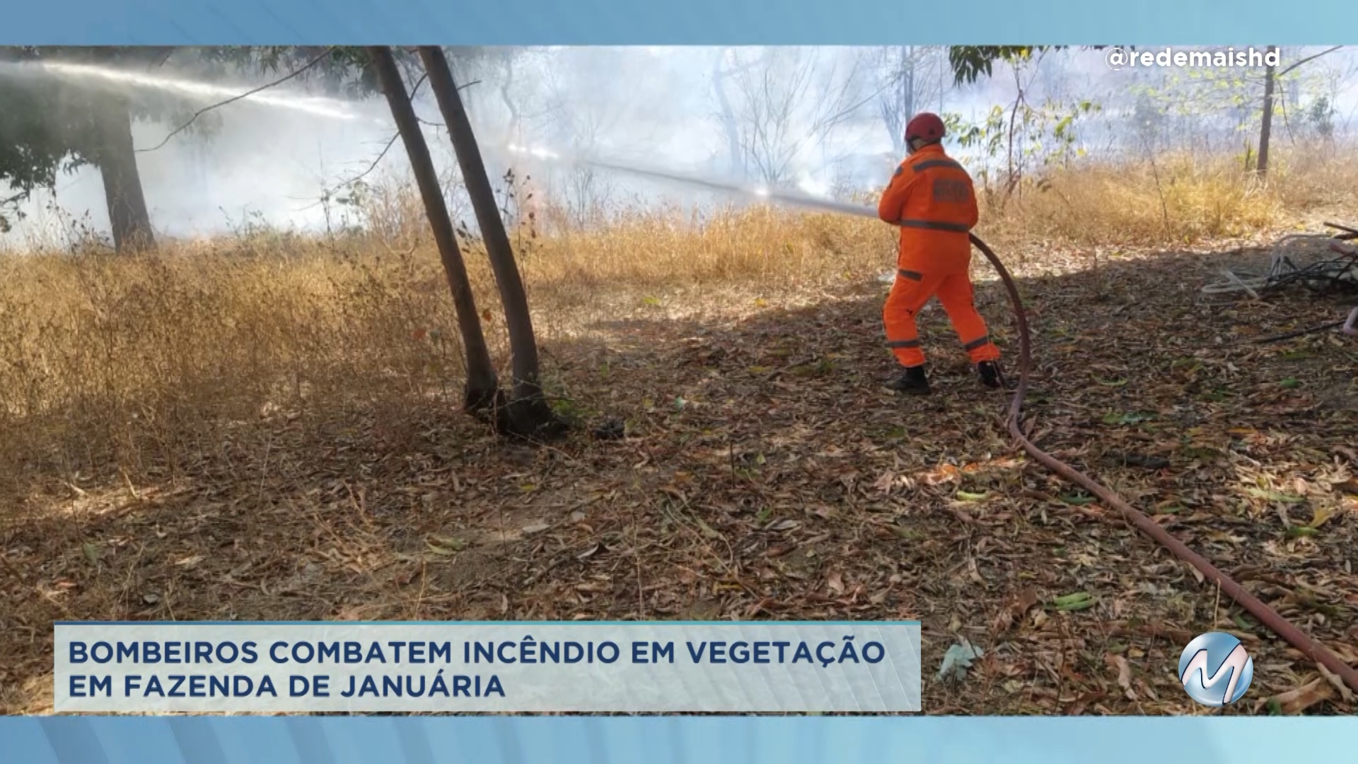 Norte de Minas: Bombeiros combatem incêndio em vegetação em Januária