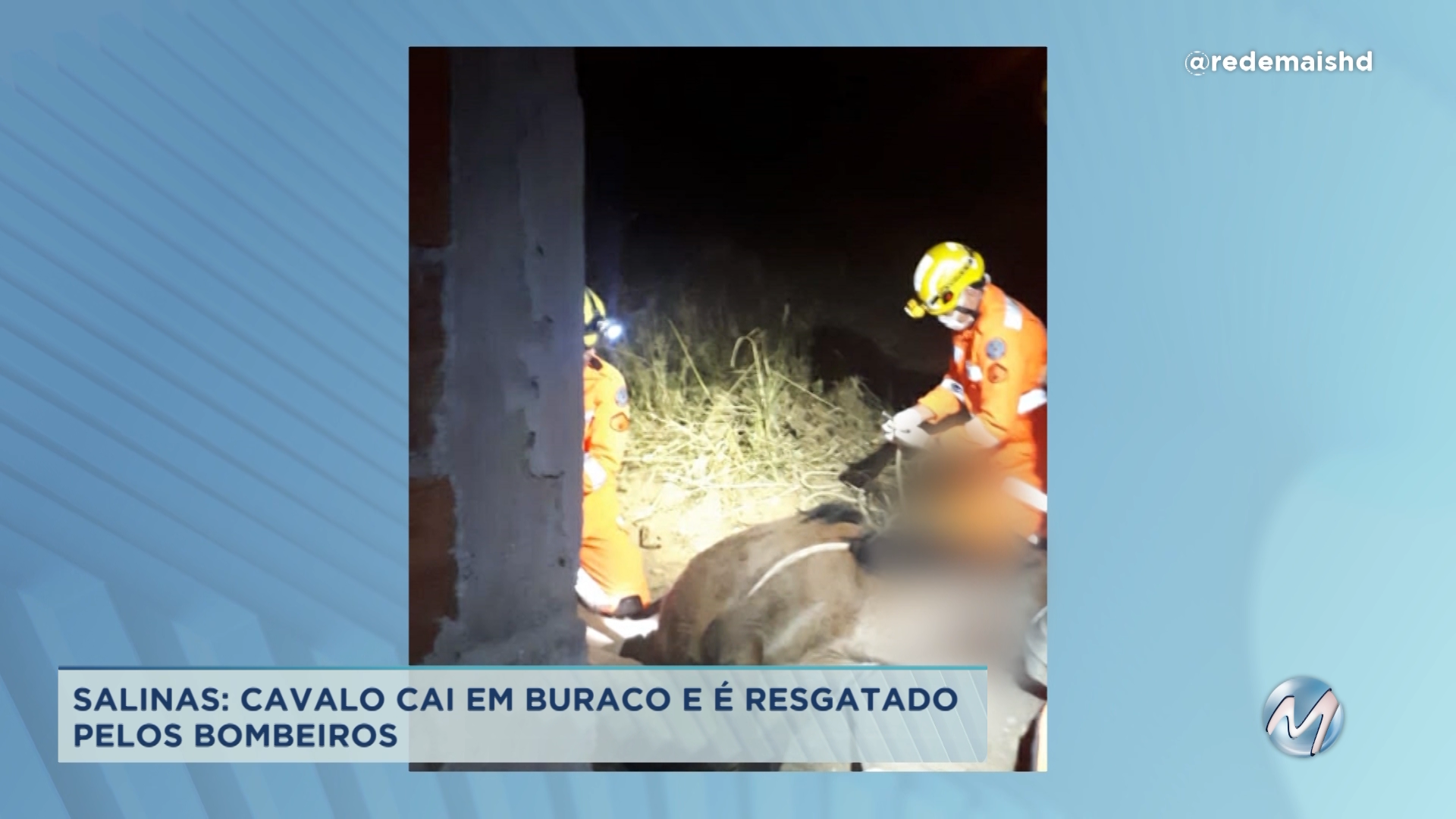 Salinas: cavalo cai em buraco e é resgatado pelos bombeiros