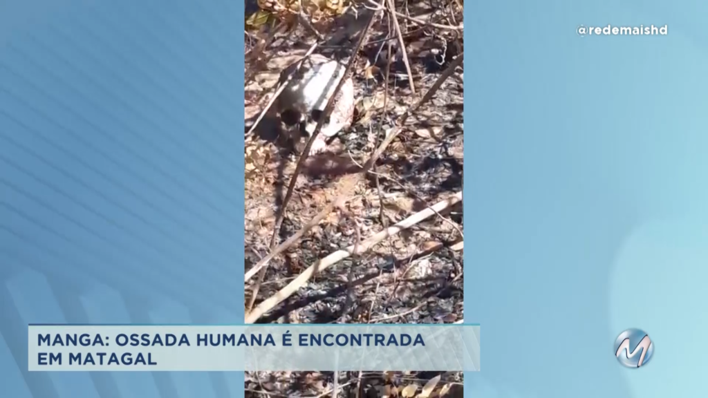 Ossada humana é encontrada em matagal no Norte de Minas