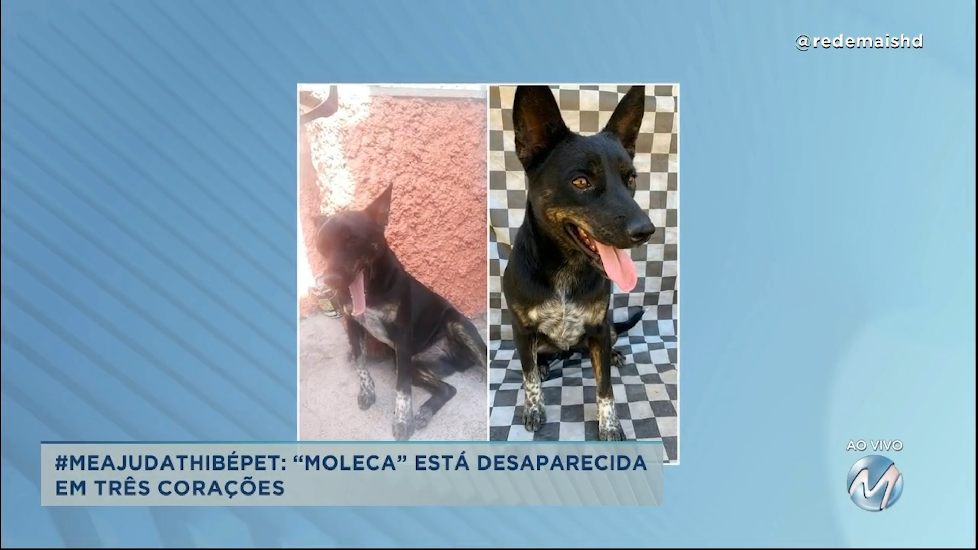#meajudathibépet: “Moleca” está desaparecida em Três Corações