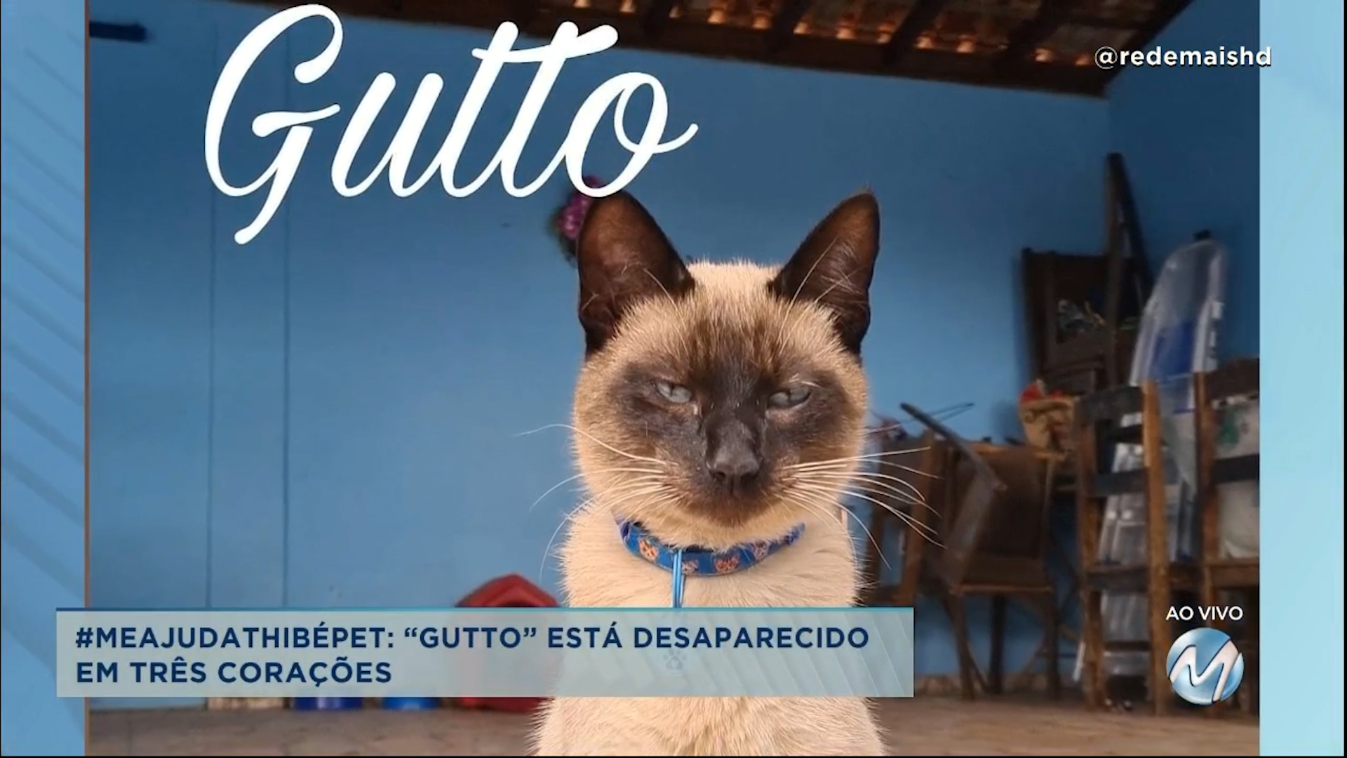 #meajudathibépet: “Gutto” está desaparecido em Três Corações