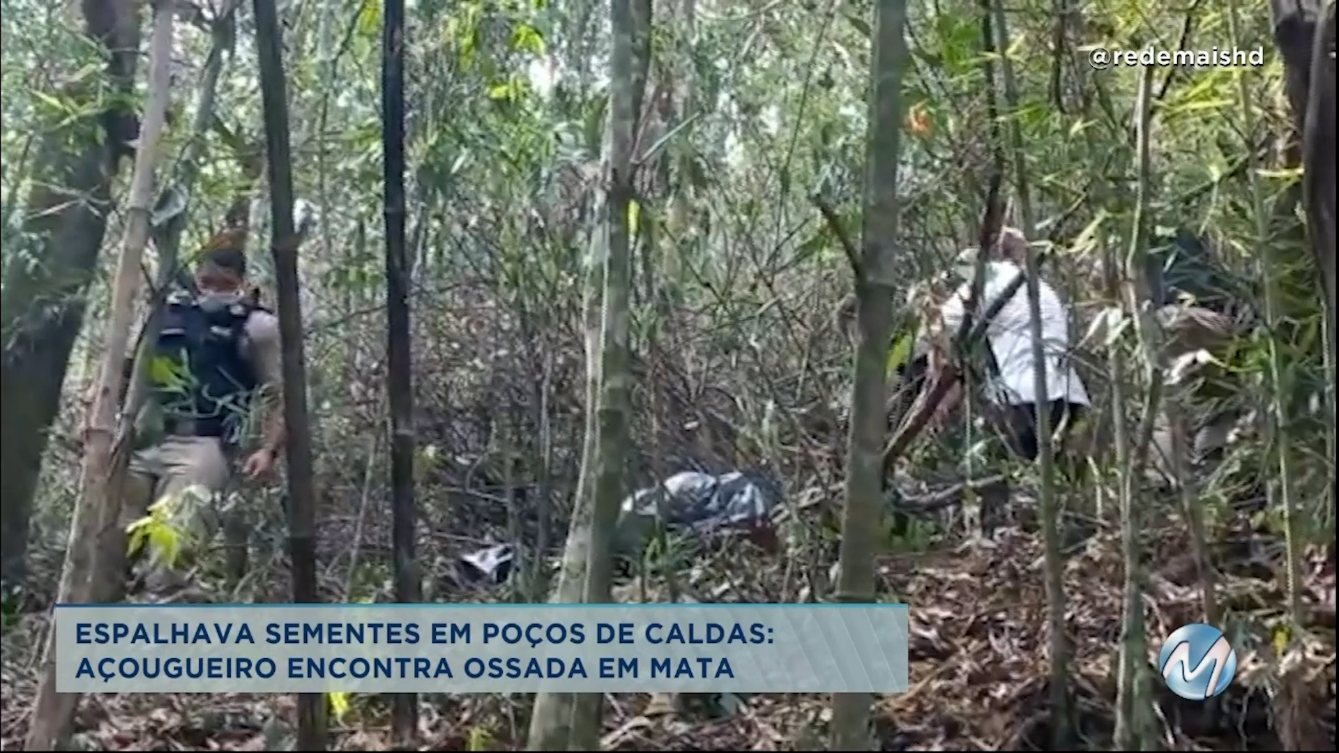 Espalhava sementes em Poços de Caldas: açougueiro encontra ossada em mata