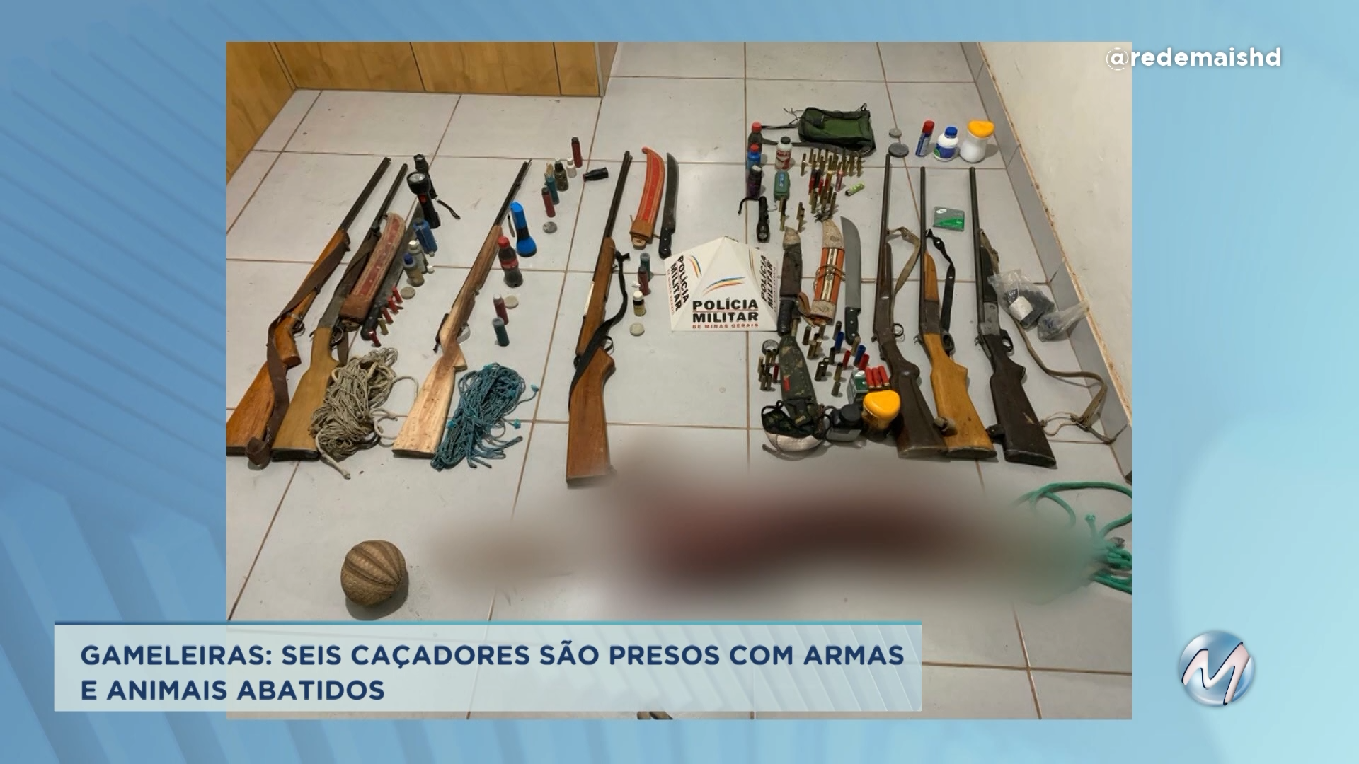 Animais abatidos: PM prende seis caçadores em Gameleiras