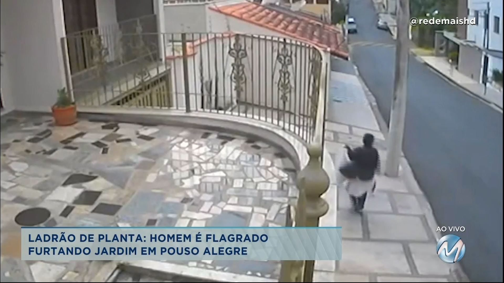 Ladrão de planta: homem é flagrado furtando jardim em Pouso Alegre