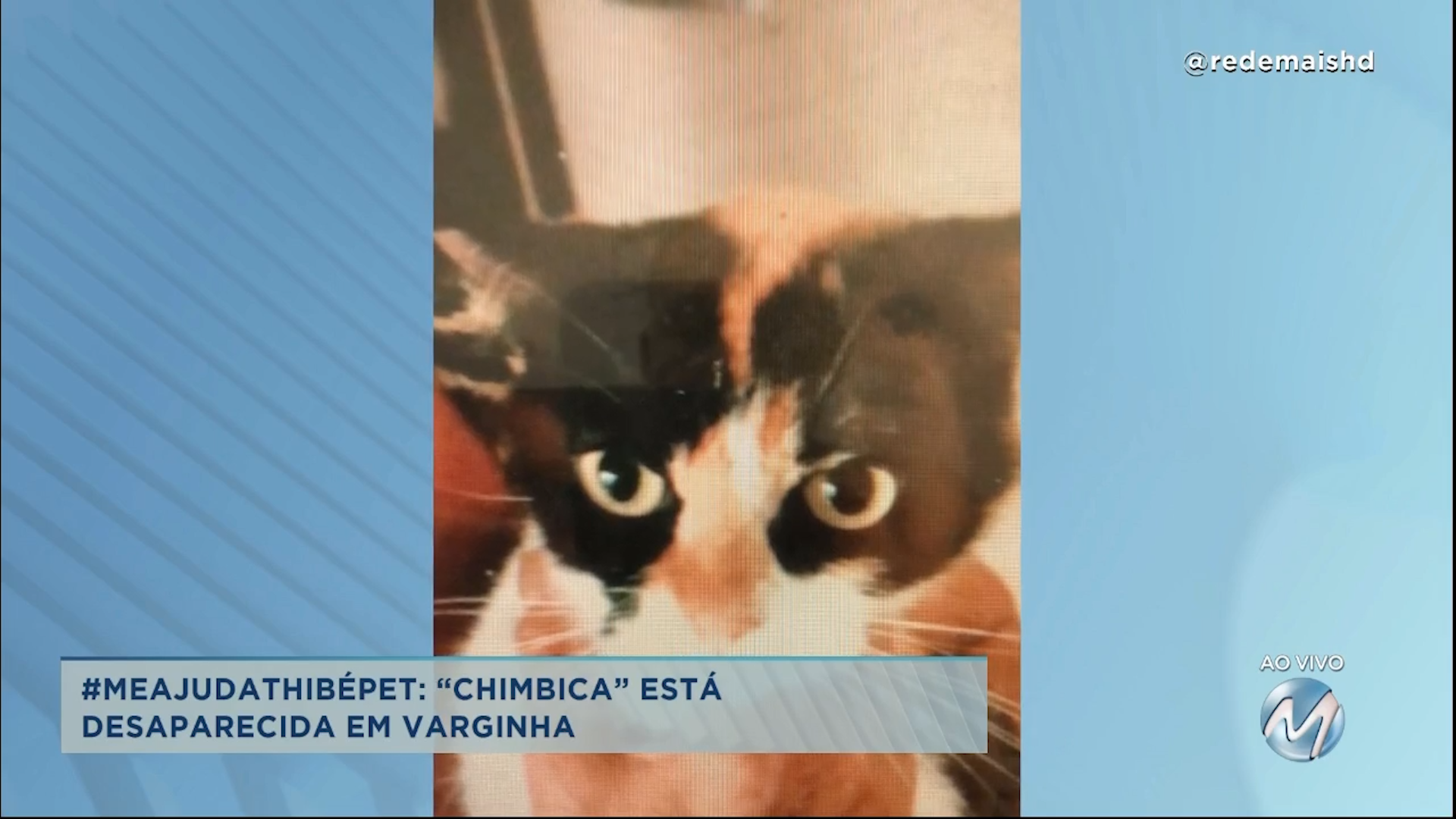 #meajudathibépet: “Chimbica” está desaparecida em Varginha