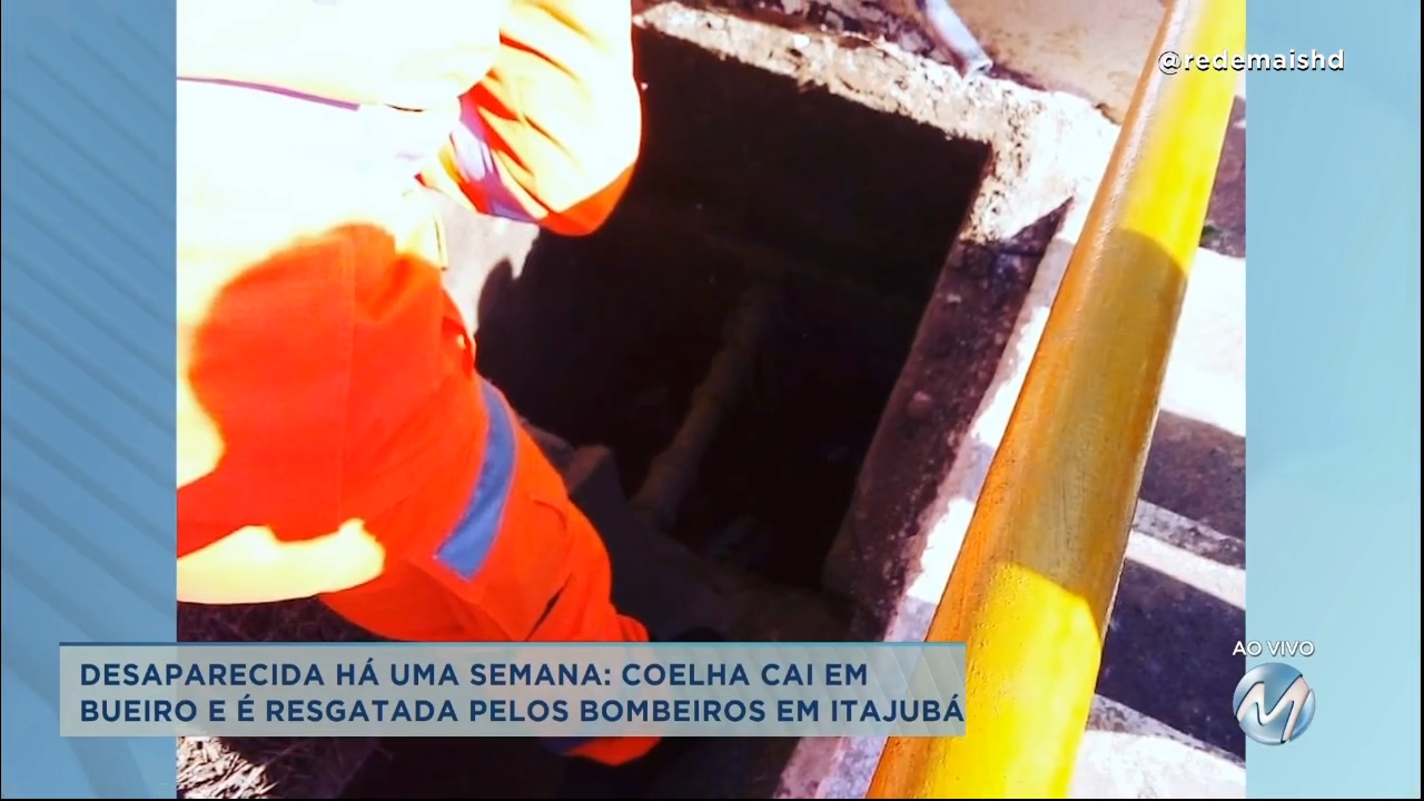 Coelha cai em bueiro e é resgatada pelos bombeiros em Itajubá
