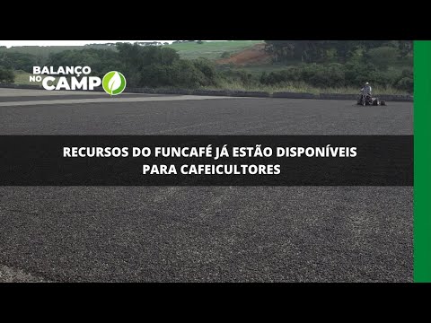 Recursos do Funcafé já estão disponíveis para cafeicultores