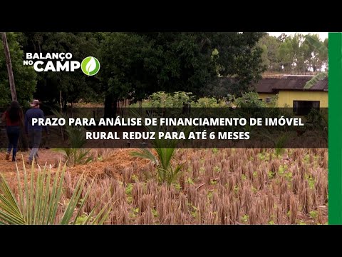 Prazo para análise de financiamento de imóvel rural reduz para até 6 meses