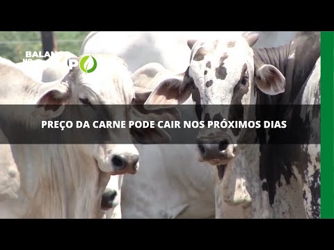 Preço da carne pode cair nos próximos dias