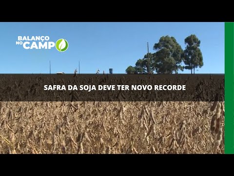 Safra da soja deve ter novo recorde