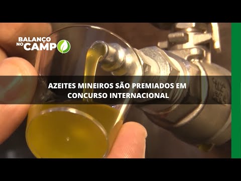 Azeites mineiros são premiados em concurso internacional