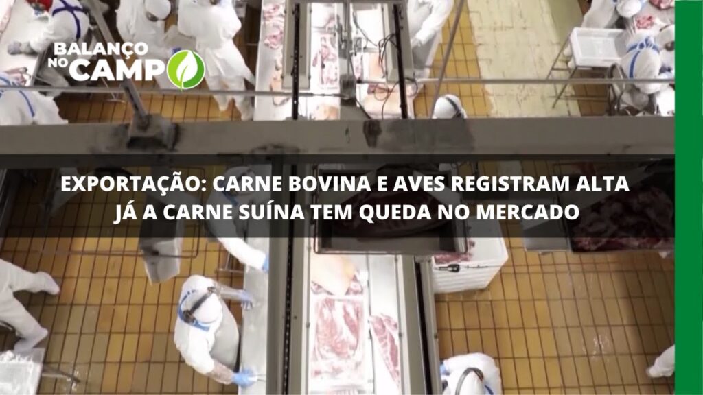 Exportação: carne bovina e aves registram alta