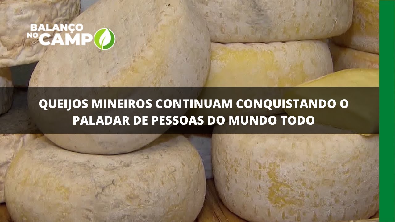 Queijos mineiros continuam conquistando o paladar de pessoas do mundo todo
