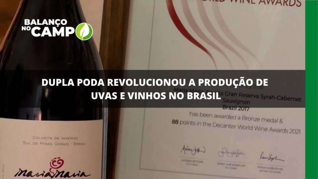 Dupla poda revolucionou a produção de uvas e vinhos no brasil