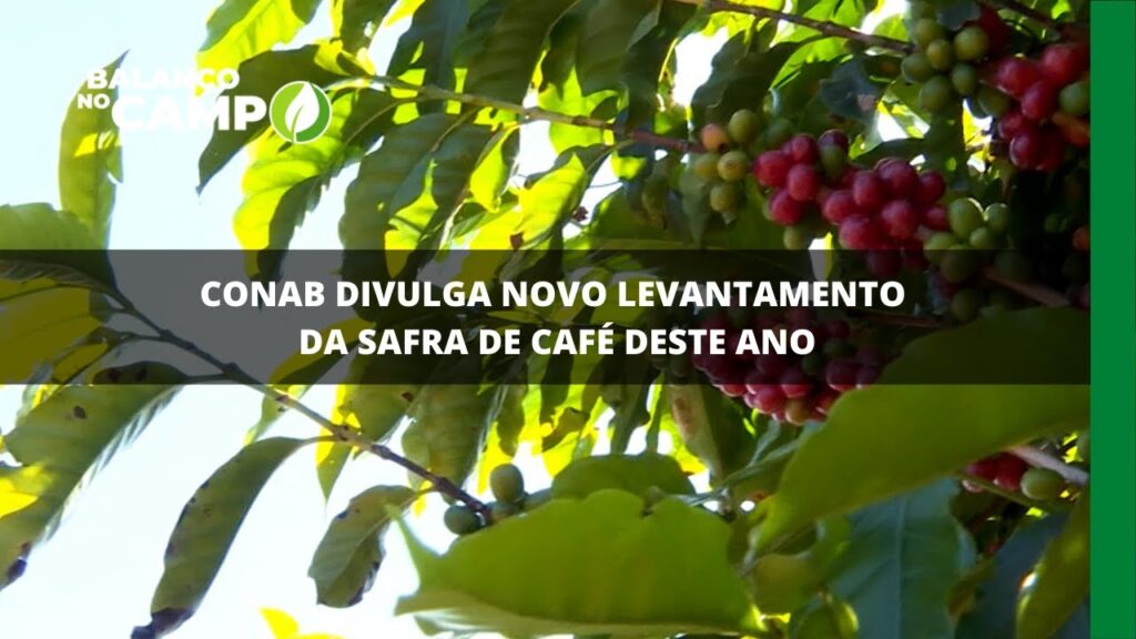 Conab divulga novo levantamento da safra de café deste ano