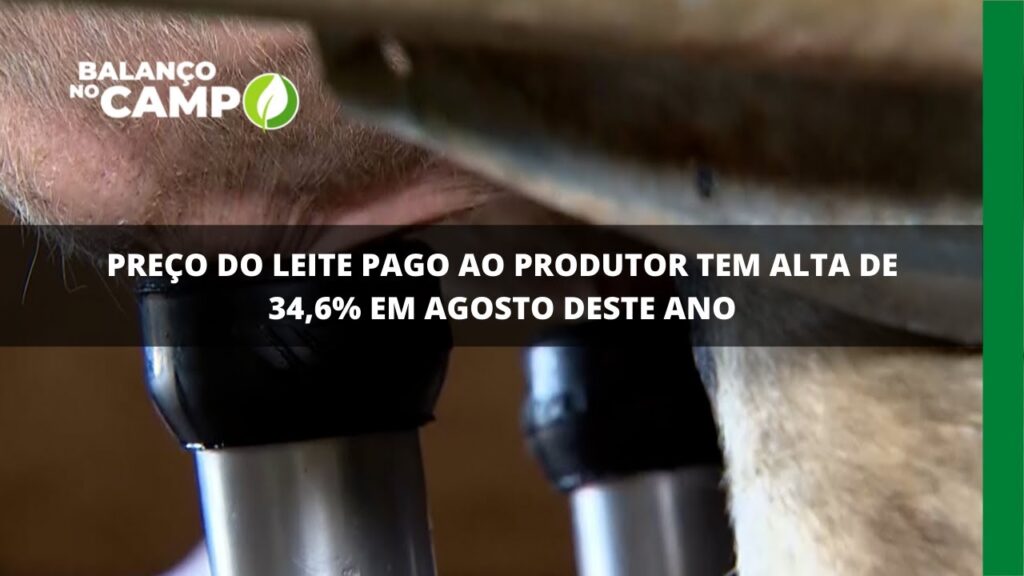 Preço do leite pago ao produtor tem alta de 34,6% em agosto deste ano