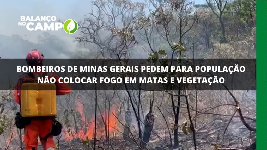 Bombeiros de Minas Gerais pedem para população não colocar fogo em matas e vegetação