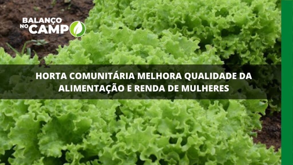 Horta comunitária melhora qualidade da alimentação e renda de mulheres