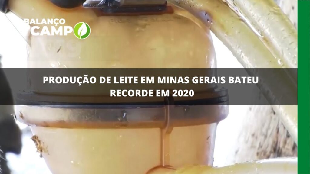 Produção de leite em minas gerais bateu recorde em 2020