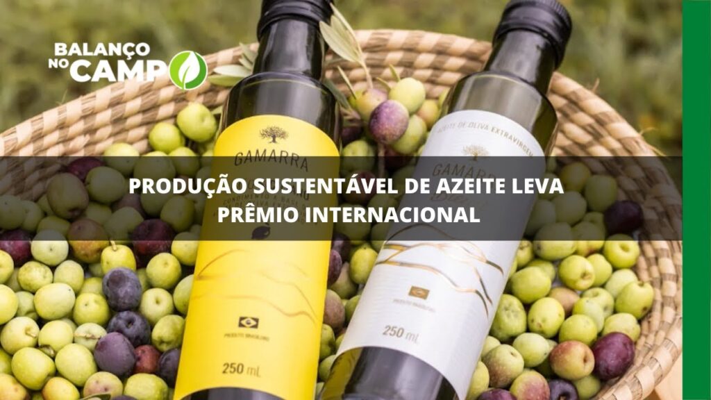 Produção sustentável de azeite leva prêmio internacional