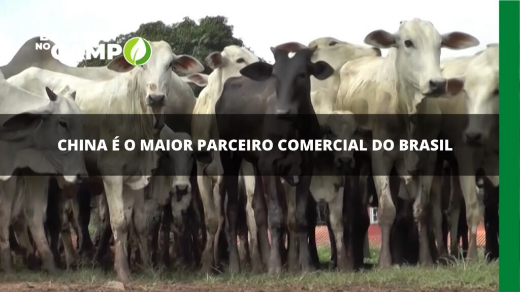 China é o maior parceiro comercial do Brasil