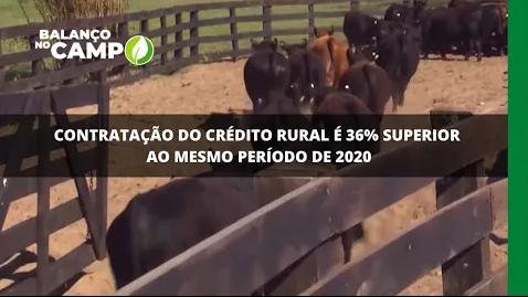 Contratação do crédito rural é 36% superior ao mesmo período de 2020