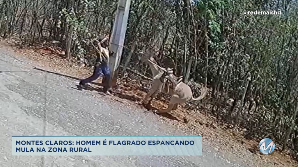 Homem é flagrado espancando mula na zona rural de Montes Claros