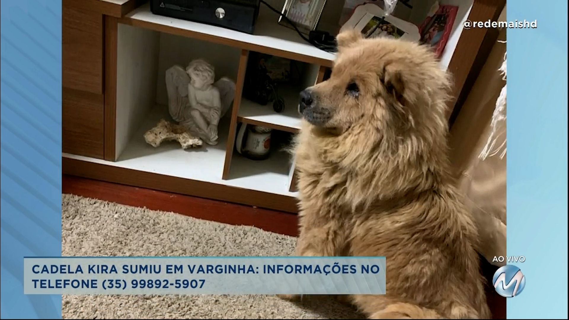 #meajudathibépet: “Kira” sumiu em Varginha