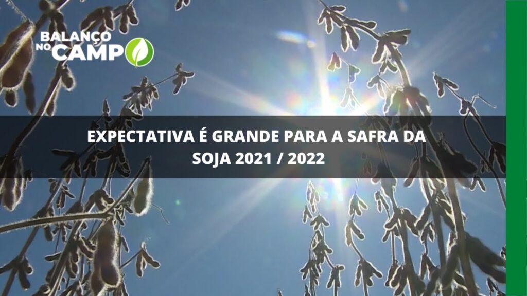 Expectativa é grande para a safra da soja 2021/2022