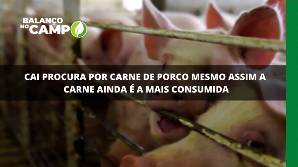 Cai procura por carne de porco mesmo assim a carne ainda é a mais consumida