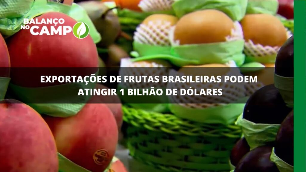 Exportações de frutas brasileiras podem atingir 1 bilhão de dólares