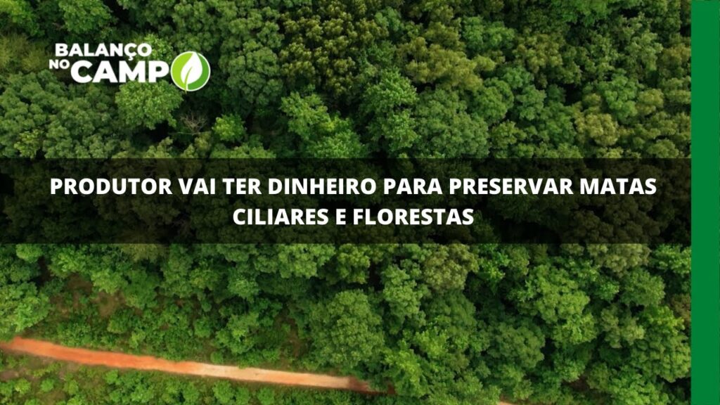 Produtor vai ter dinheiro para preservar matas ciliares e florestas