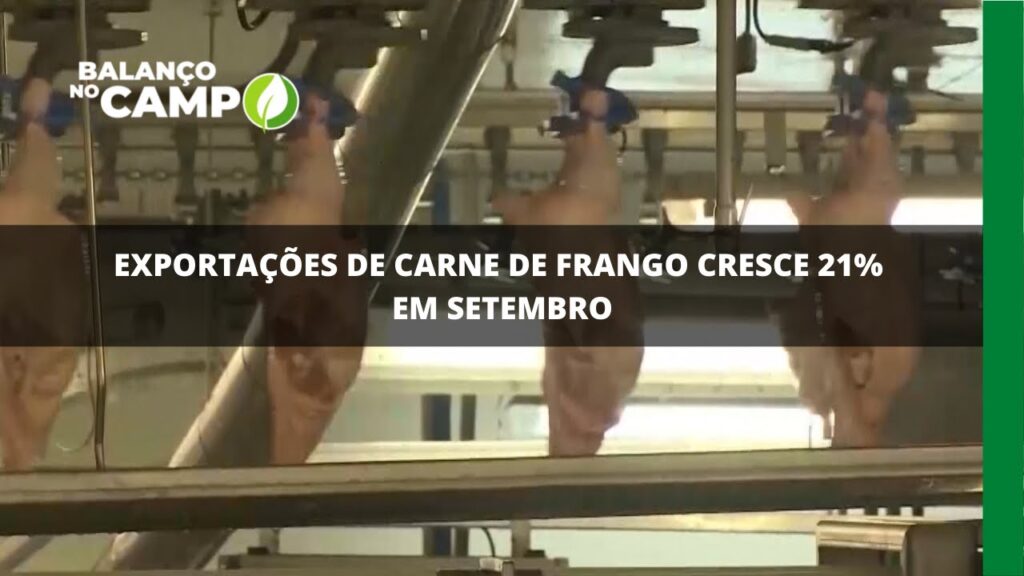 Exportações de carne de frango cresce 21% em setembro