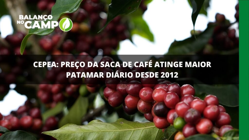 Maior patamar diário desde 2012: Saca de café é negociada a R$ 1.146,61