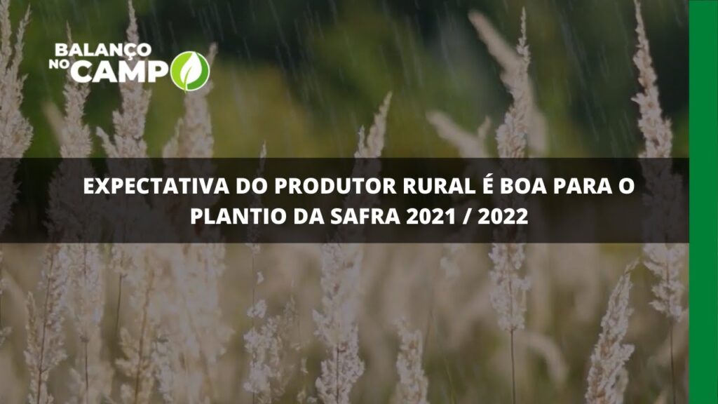 Chuva colabora com o período de plantio e a previsão é que ela continue nos próximos dias