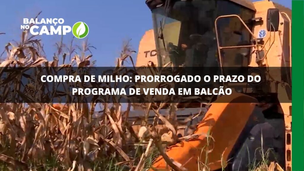 Criadores de animais têm até 15 de dezembro para comprar milho pelo “venda em balcão”