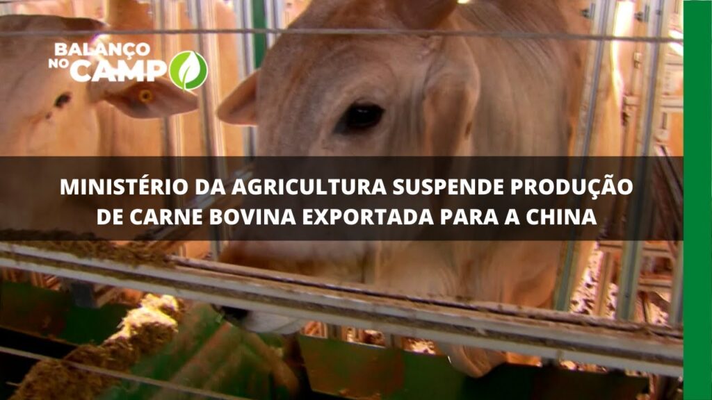 Vaca louca: exportação de carne bovina continua suspensa para a China