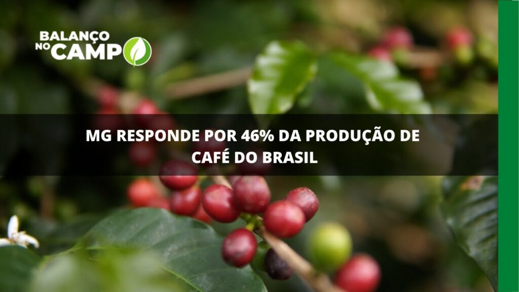 Minas Gerais é o maior estado produtor de café responsável por colher 46% da safra de 2021.