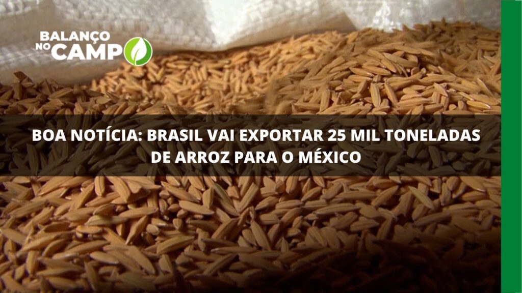 Brasil vai exportar arroz em casca para o México